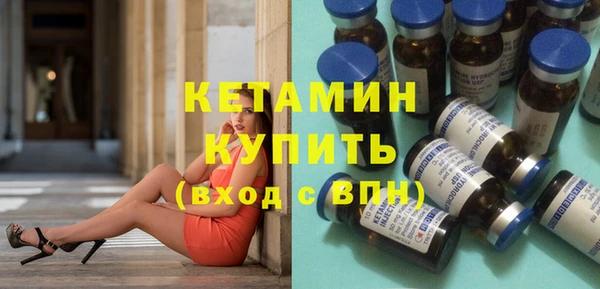 прущие грибы Новозыбков
