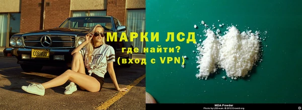 прущие грибы Новозыбков