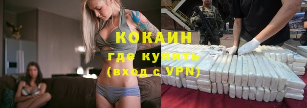 прущие грибы Новозыбков