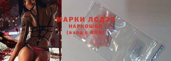 стафф Новодвинск