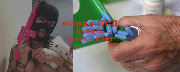 прущие грибы Новозыбков