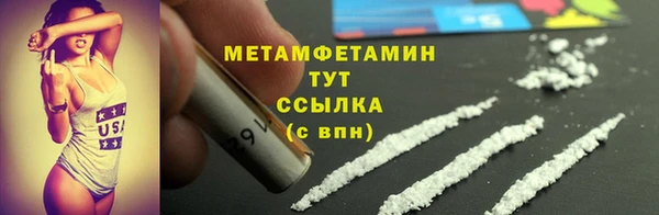 прущие грибы Новозыбков