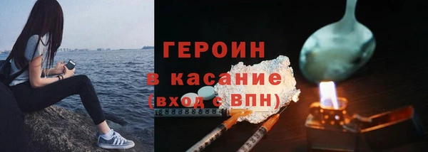 прущие грибы Новозыбков