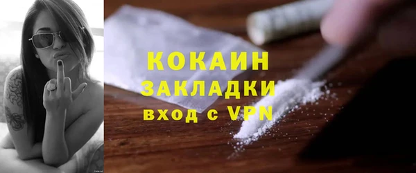 прущие грибы Новозыбков