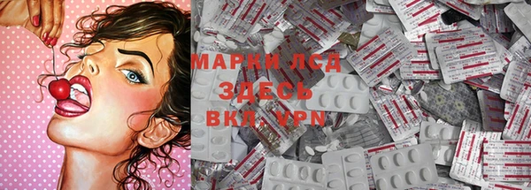 стафф Новодвинск