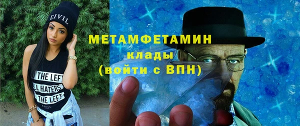 прущие грибы Новозыбков
