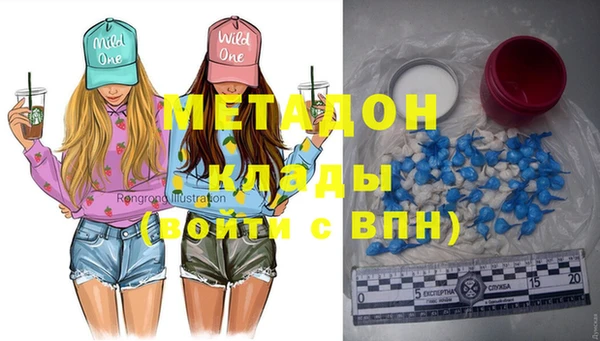 прущие грибы Новозыбков