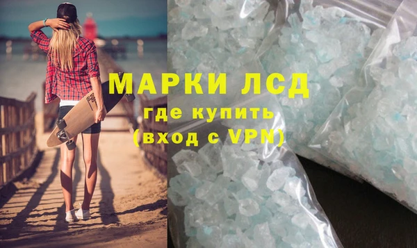 прущие грибы Новозыбков