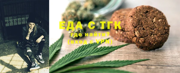 прущие грибы Новозыбков