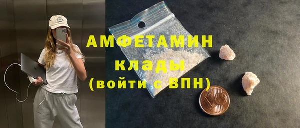 стафф Новодвинск