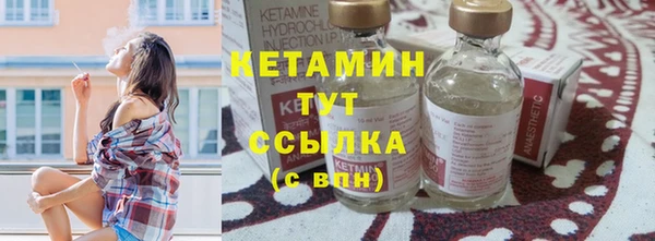 прущие грибы Новозыбков
