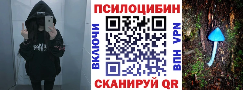 даркнет сайт  Котельниково  Псилоцибиновые грибы Psilocybe 